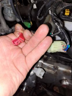 Ręka trzyma czerwony i zielony konektor elektryczny w motocyklu, w tle widoczne elementy silnika.