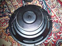 Dwu cewkowy głośnik z subwoofer czy jest spalony czy wzmacni