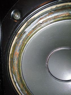 Onkyo sc-560 regeneracja głośników, kto zrobi dobrze i czy warto Onkyo sc-560 regeneracja głośników, kto zrobi dobrze i czy warto