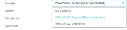 Screenshot of network security settings with a dropdown menu.
