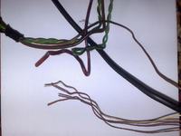 Jak podłączyć okablowanie BOSE w Audi A6 C5 po zakupie zestawu?