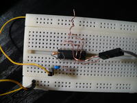 ZL3AVR problem z zaprogramowaniem