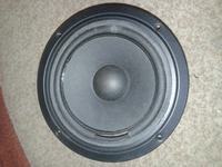 Magnat Art 145 080 - Poszukuję głośnika niskotonowego