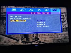 Sony Bravia i Manta dvd - Brak dźwięku z dvd w tv
