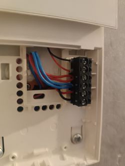 Zbliżenie na wnętrze domofonu z podłączonymi przewodami.