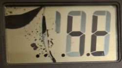 Zasada działania monochromatycznych wyświetlaczy LCD