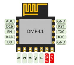 Pin diagram of the DMP-L1 module with pin labels shown on the sides.