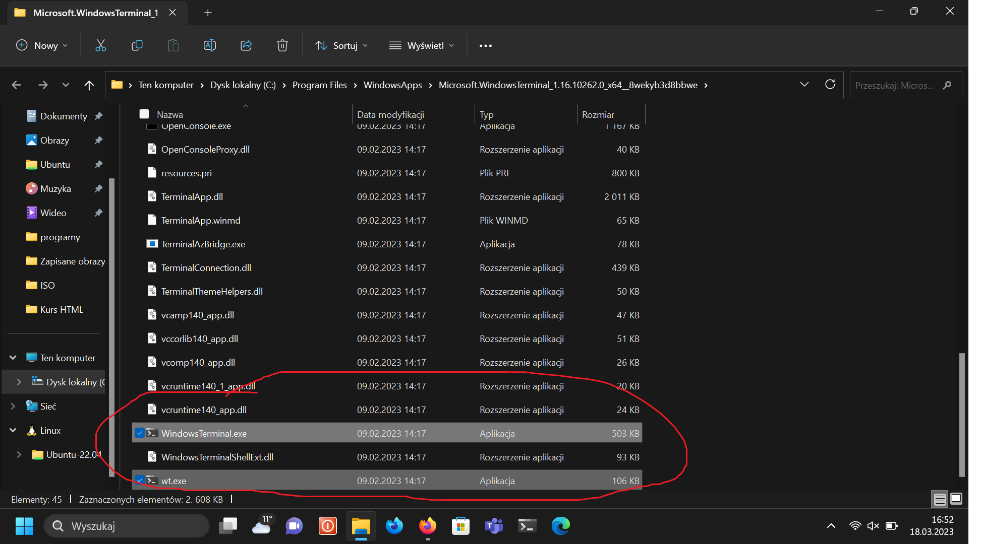 windowsterminal.exe vs wt.exe - procesy windows terminal