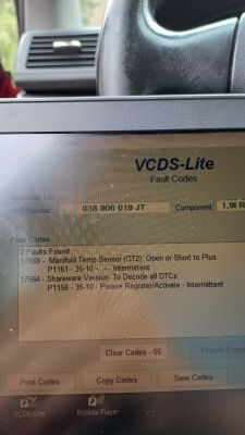 Ekran pokazujący kody błędów diagnostycznych VCDS-Lite.