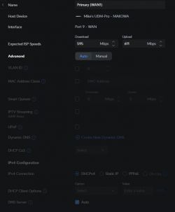 Screenshot of UDM-Pro router settings showing download and upload speeds.