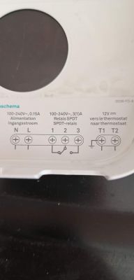 Connecting Google's Nest to Raneha Aventa: Instructions and Tips for Users