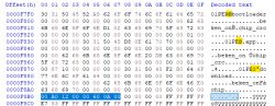 View of a binary file in HxD editor with a highlighted hex sequence.