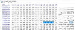 Screenshot of a hex editor showing binary file data.