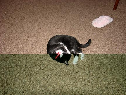 problem z aparatem sony h5