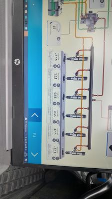 Ekran diagnostyczny pokazujący korekty wtrysku paliwa dla sześciu cylindrów.