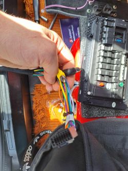 Ręka trzymająca zestaw kolorowych kabli prowadzących do chińskiego radia samochodowego.