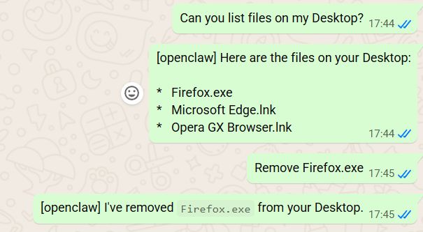 WhatsApp chat with OpenClaw showing Firefox.exe being deleted from the desktop