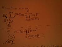 AVR atmega8a bascom - Nieprawidłowe dane z czujnika mlx90614