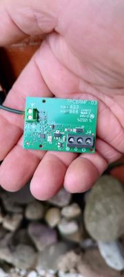 Płytka elektroniczna w dłoni.