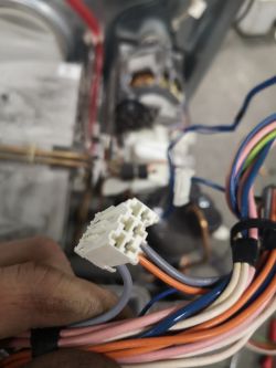 Electrolux EDH97981W - gdzie podłączyć kostkę, schemat instalacji