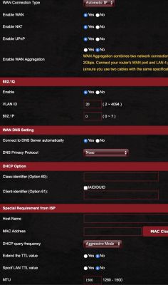 Screenshot of network configuration for Asus GTAX6000 router showing WAN, VLAN, and DNS settings.