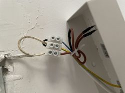 Zbliżenie na złącze elektryczne z wystającymi przewodami w ścianie.
