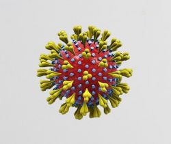 Coronavirus, praca zdalna, jakie plany na utrzymanie funkcjonowania firmy?