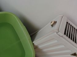 Radiator with a closed thermostat valve and a plastic bucket nearby.