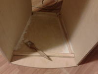 Kolumny Estradowe 2x12 + 1 (STX GDS30/200 + D500) Kolumny Estradowe 2x12 + 1 (STX GDS30/200 + D500)