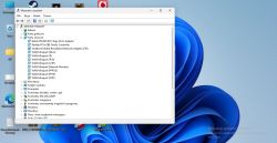 Okno Menedżera urządzeń z rozwiniętą sekcją „Karty sieciowe” w systemie Windows.