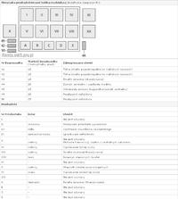 Ford Fiesta bezpieczniki.