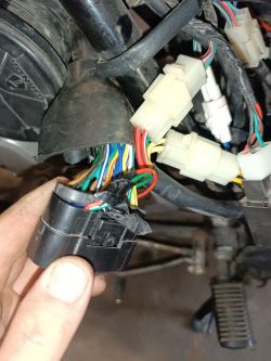 Zbliżenie na kostkę elektryczną ECU motocykla Zipp Neken 50 wraz z przewodami.
