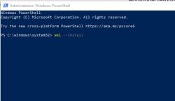 WSL Installation in PowerShell on Windows PowerShell window running as administrator with the command wsl --install typed.