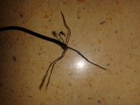 Jak podłączyć kable w słuchawce Tronic H-3050 po urwaniu mini jacka?