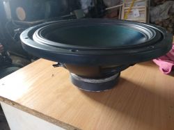 Identyfikacja nieznanego Woofera 12 bez oznaczeń - jak rozpoznać model?