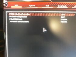 Ekran ustawień BIOS dla konfiguracji slotu PCIe.