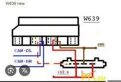 Schemat połączeń złącza W639: linie CAN-DL, CAN-DH, +12 V i GND do modułu