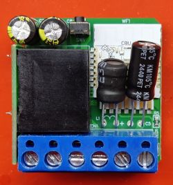 Electronic module with relay, capacitors, and terminal block connector