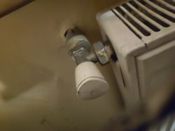 Zbliżenie na zawór przy grzejniku z białą plastikową głowicą.