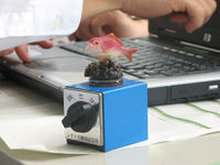 Bardzo realistyczny podwodny robot