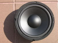 Cóż to za głośnik? YD165-6R70B