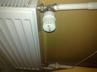 Radiator Heats Only Halfway: Top Warm, Bottom Cold - Thermostat & Return Pipe Solutions Radiator Heats Only Halfway: Top Warm, Bottom Cold - Thermostat & Return Pipe Solutions