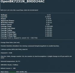 Screenshot of the control panel OpenBK7231N with no measurement data from CSE7766.