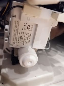 AEG F65401VI - błąd i20, wymiana pompy nie rozwiązała problemu. Woda nie jest pobierana.