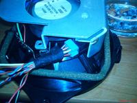 Kolory kabli głośnikowych Audi--Zestaw aktywny ??