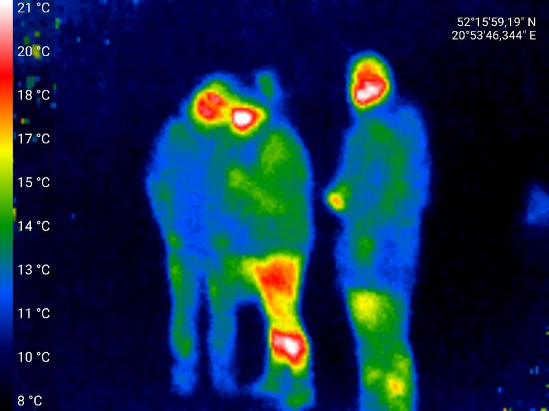 W czym może nam pomóc kamera termowizyjna?