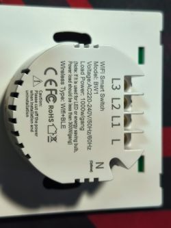 Back of a “WiFi Smart Switch” BW1 module with terminals labeled L, L1–L3, and N
