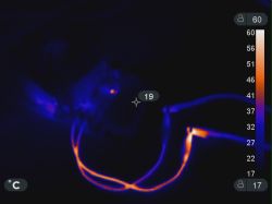 W czym może nam pomóc kamera termowizyjna?