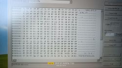 Zrzut ekranu z programu diagnostycznego VAG EDC15x z odczytem danych EEPROM.