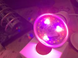A glowing LED emitting purple light with visible electronic circuitry in a socket.